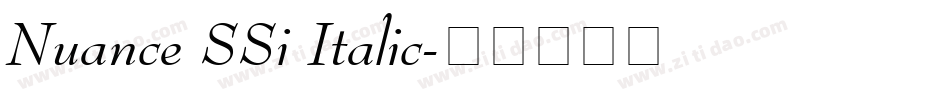 Nuance SSi Italic字体转换